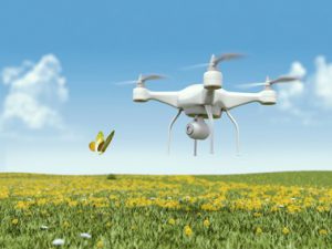 drone-flying-field